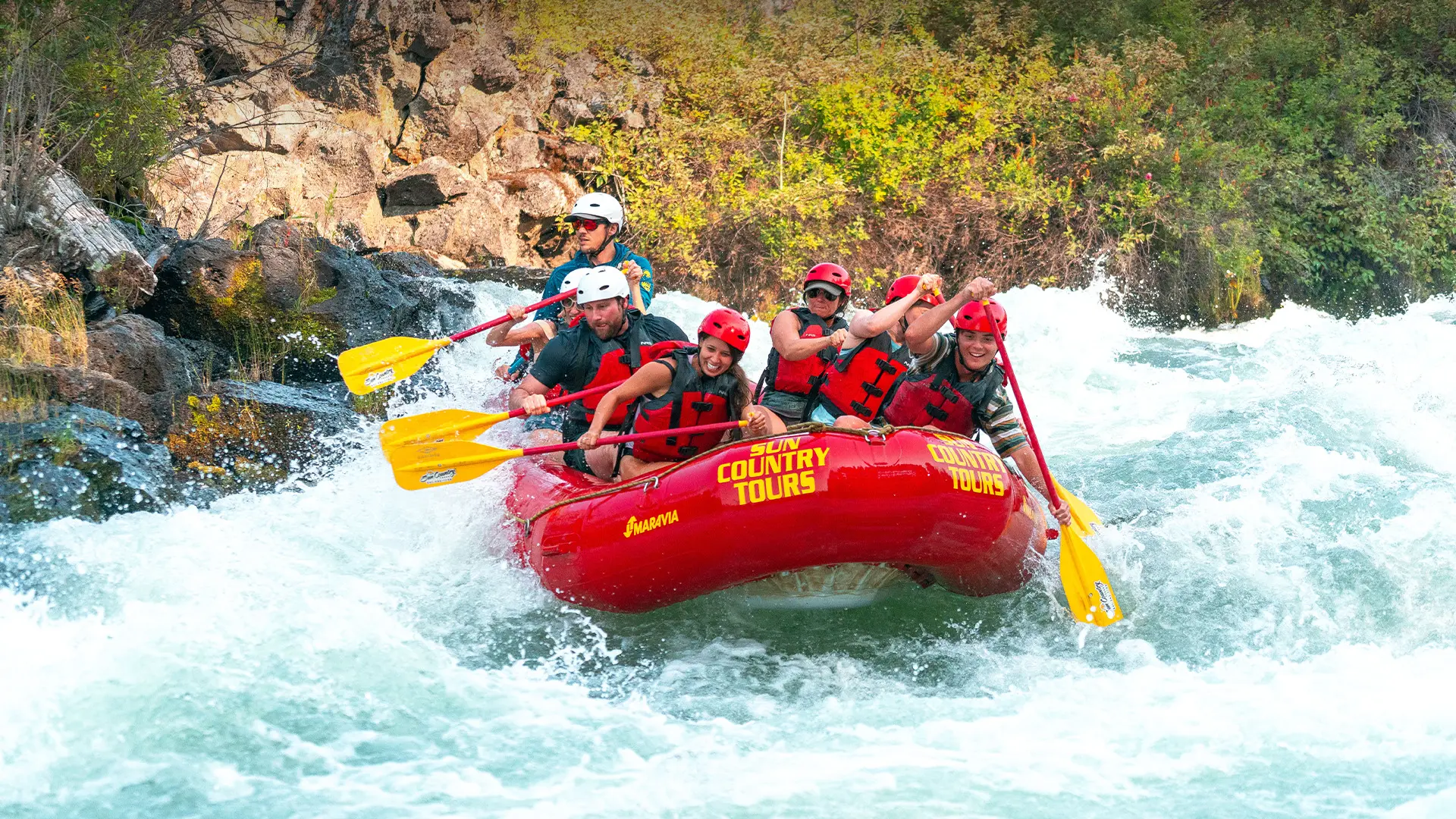 Sun Country Tours photo 5